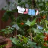 Décoration de pot de fleur façon linge étendu dans un jardin, ajoutant une touche humoristique et poétique.