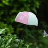 Détail d’un pique parapluie rose et vert pastel, parfait pour une décoration pot de fleur pleine de fantaisie.