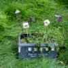 Ensemble de piques décoratives variées dans une jardinière, idéal pour une décoration pot de fleurs personnalisée.
