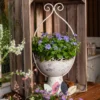 Composition florale estivale dans un pot de fleur blanc en métal patiné, mise en scène dans un décor naturel et chaleureux.