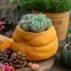 Jardinière pot de fleur céramique artisanale avec forme de courge, décorée de succulentes vertes pour une ambiance naturelle.