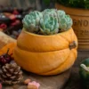 Détail rapproché d’un pot de fleur céramique en forme de citrouille, soulignant la finesse artisanale et la teinte automnale.