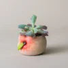 Ensemble de mini pots de fleur en céramique posés sur une planche bois, inspirés des formes de fruits et légumes.