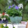 Pot de fleur intérieur poétique inspiré des contes, à utiliser pour une touche onirique dans un salon ou une terrasse.