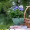 Pot de fleur intérieur sur table avec plantes fraîches, créant une ambiance bohème douce et printanière.