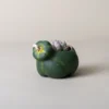 Pot de fleur interieur en citrouille verte foncée avec cactus central, combiné à un modèle jaune en arrière-plan rustique.