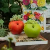 Ensemble de pot de fleur interieur en pomme verte et rouge, placé sur livre, parfait pour une décoration de bureau végétale.