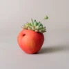 Joli pot de fleur interieur pomme rouge sur livre illustré, parfait pour végétaliser un coin lecture ou un bureau créatif.