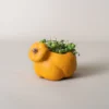Collection automnale avec pot de fleur interieur citrouille jaune accueillant une plante retombante sur table de jardin.