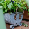 Jardinière rectangulaire rustique, pot de fleur long garni de plantes vertes luxuriantes et de lierres rampants.