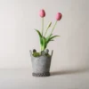 Pot de fleur petit en forme de couronne, parfait pour mettre en valeur une seule fleur ou une petite plante.