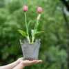 Pot de fleur petit tenu à deux mains, idéal pour un cadeau décoratif original et élégant.