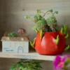 Jardinière artisanale en forme de pitaya – pots de fleurs extérieur pour terrasse colorée