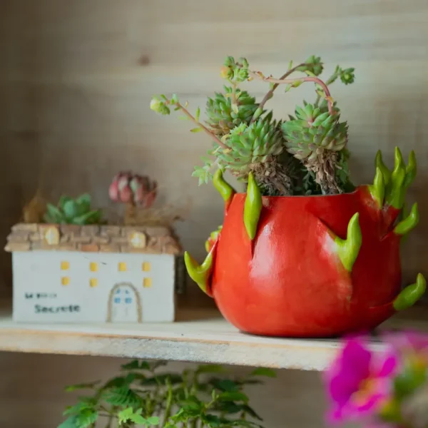 Jardinière artisanale en forme de pitaya – pots de fleurs extérieur pour terrasse colorée
