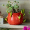 Pot pitaya rouge avec écailles vertes – pots de fleurs extérieur original pour balcon ou jardin