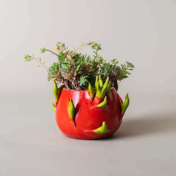 Pots de fleurs extérieur en céramique rouge inspiré du fruit du dragon avec plantes grasses