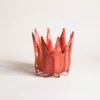 Vase corail translucide rempli de citrons et concombres, combinant utilité et esthétique pour les amateurs de vases et fleurs.