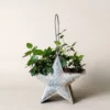 Mini pot de fleur en forme d’étoile suspendu, idéal pour les plantes grimpantes dans une décoration murale créative.
