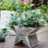 Jardinière métallique étoile au style vintage, parfaite comme mini pot de fleur pour lierre ou jasmin sur table ou balcon.