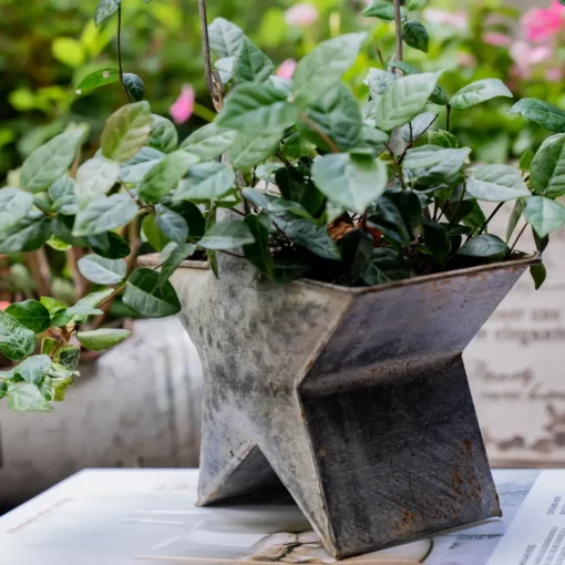 Original mini pot de fleur en métal galvanisé en forme d’étoile, apportant une touche décorative rustique à votre intérieur.
