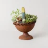 Coupe métallique en forme de calice remplie de succulentes, parfaite pour ceux qui recherchent des pots de fleurs originaux.