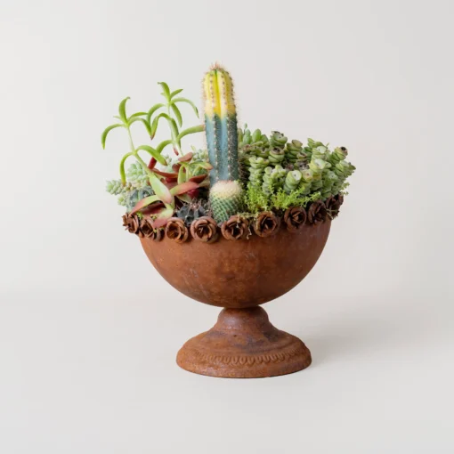 Coupe métallique en forme de calice remplie de succulentes, parfaite pour ceux qui recherchent des pots de fleurs originaux.