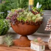 Mise en scène rustique avec une grande coupe ancienne et des plantes variées, illustrant l'élégance des pots de fleurs originaux pour intérieur.