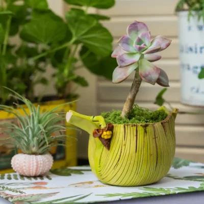 Petit Pot de Fleur pour Interieur en Ceramique Feuille de Bananier 3 e1729234224813