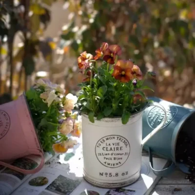 Pot de Fleur en Fer Forge – Design Tasse Vintage 3 Couleurs 3