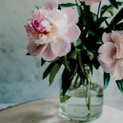 Vase en Verre Souffle – Serie Macaron Rose Mat 49