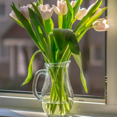 Vase en Verre Souffle – Serie Macaron Rose Mat 51