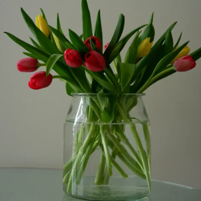 Vase en Verre Souffle – Serie Macaron Rose Mat 54