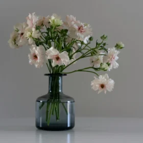 Décoration de Couloir avec des Vases : Astuces pour Créer un Effet Visuel Étendu Vases élégants pour une décoration de couloir avec des vases, apportant style et espace.